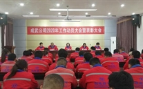 成武公司召开2020年岁情发动大会暨2019年度先进事情者表扬大会