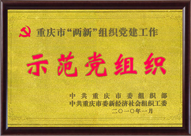 树模党组织