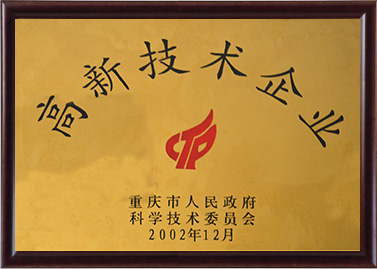高新手艺企业