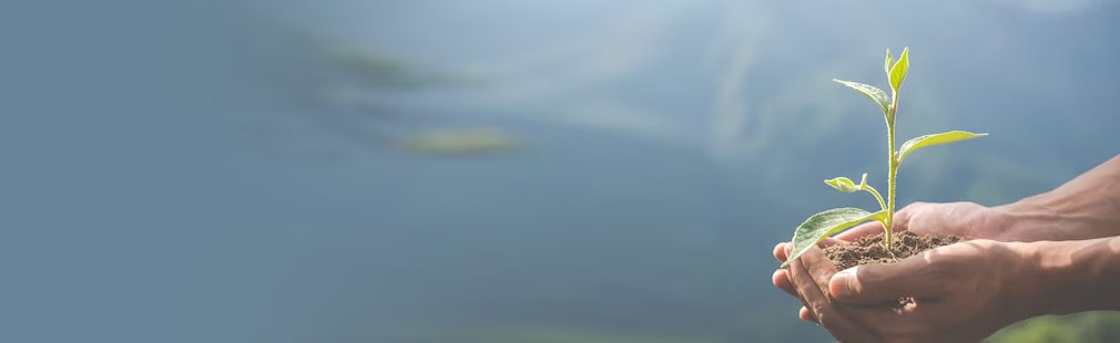 亚洲胜游人